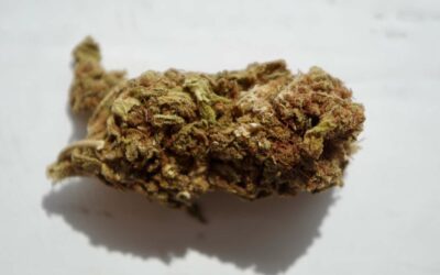 Comment la fleur de CBD peut aider à soulager les douleurs et améliorer la qualité du sommeil ?