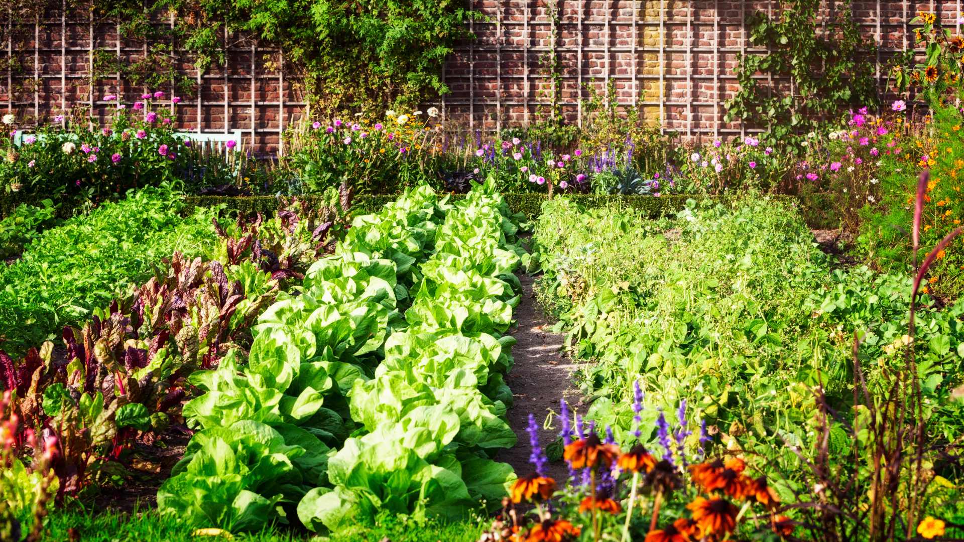 Grand potager bio dans un jardin