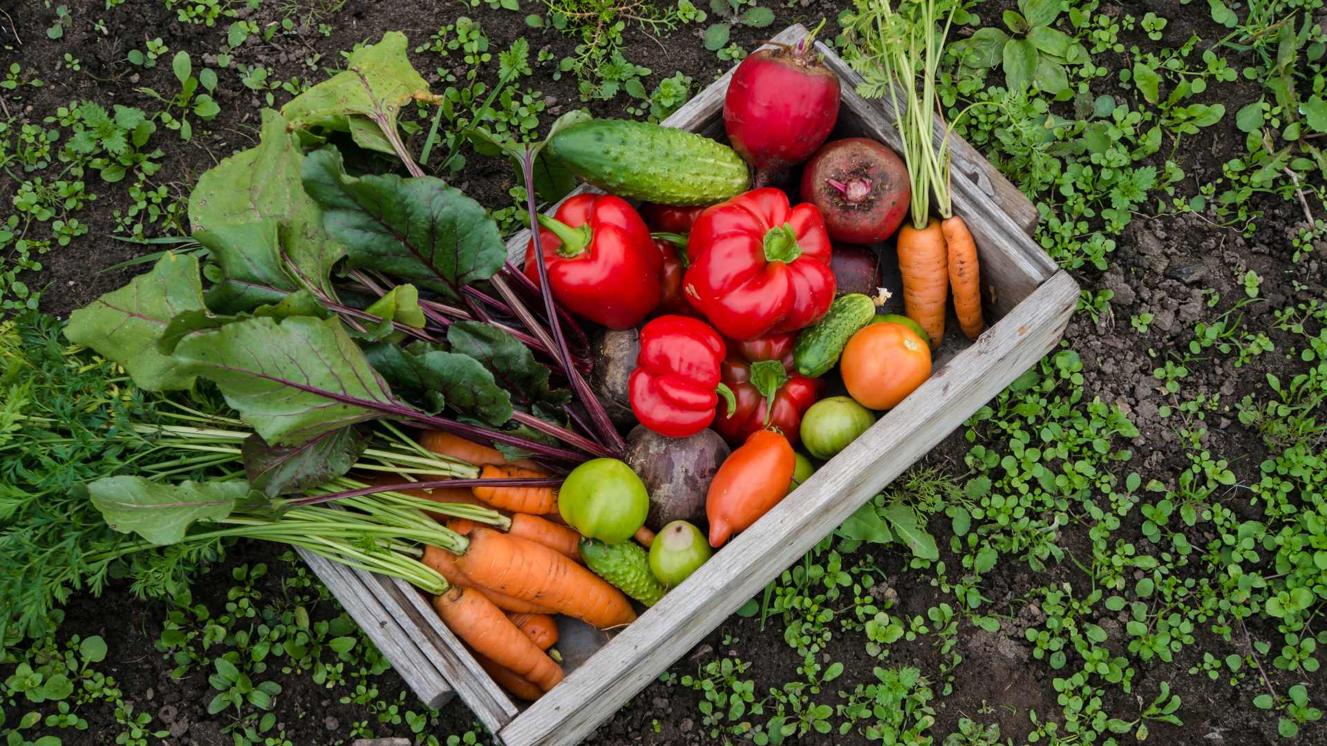 Panier de fruits et légumes