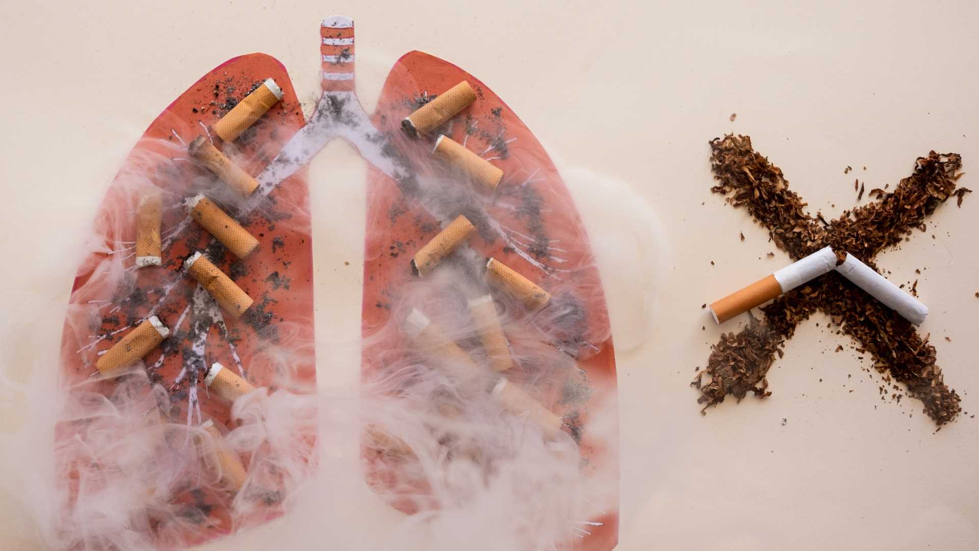 Représentation de l'éffet néfaste du tabac sur les poumons
