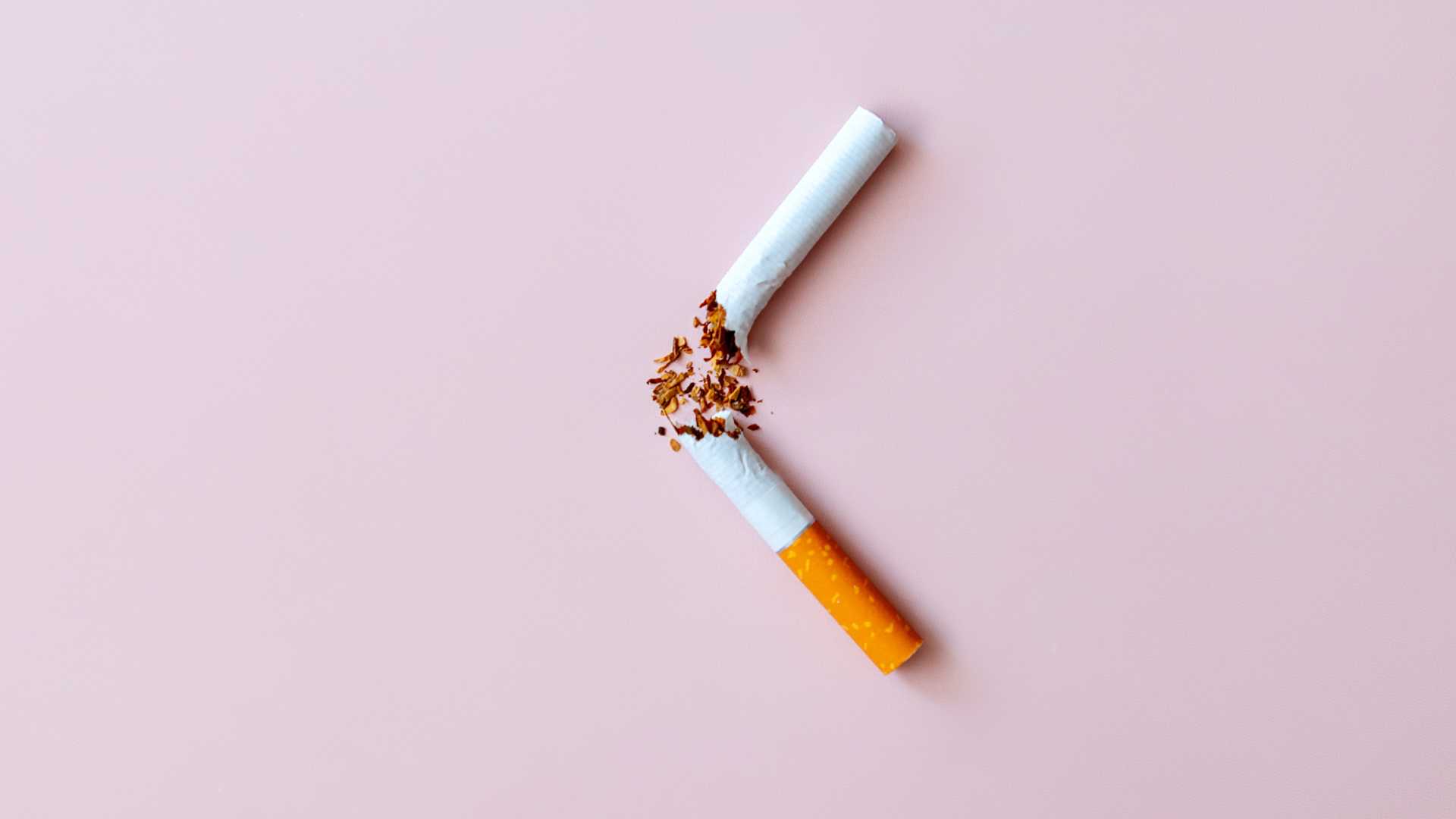 Cigarette cassé en deux